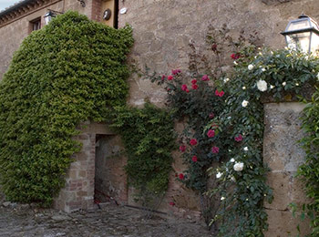 foto van La Saracina 