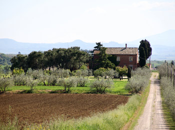 foto van Casa Bellavista B&B 