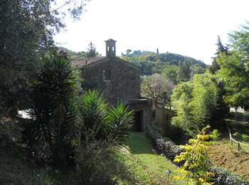 foto van Il Frantoio di Cannoreto 