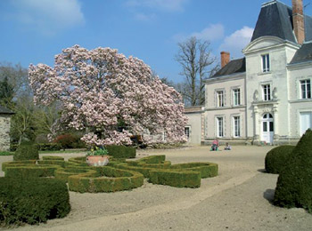 foto van Château de Mirvault-Azé 