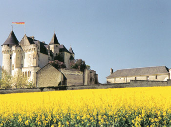 foto van Château de la Motte 