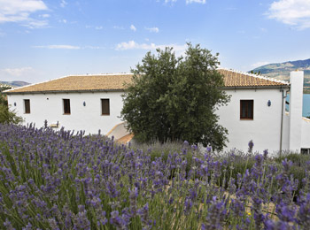 foto van Casa Rural El Olivar 