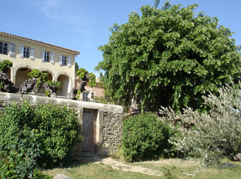 foto van Domaine Mas Cavard 