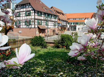 foto van Hotel Ritter Durbach 