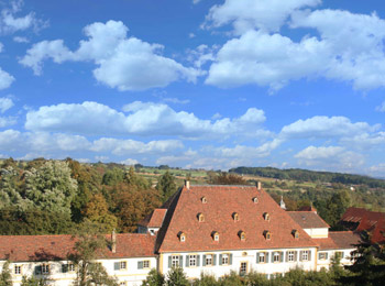 foto van Kalapa Hotels Schloss Heinsheim 