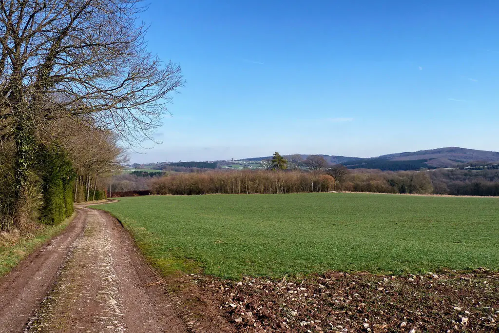 typisch landschap Ardennen België rond Durbuy
