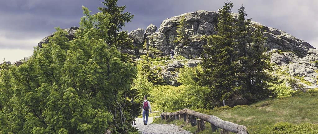 Die 5 schönsten Wanderwege im Bayerischen Wald