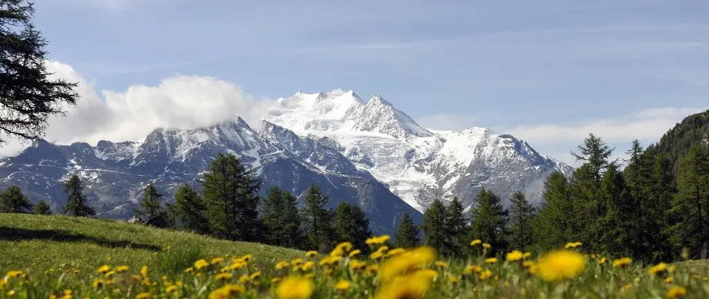 Dom: Viertausender in den Schweizer Alpen