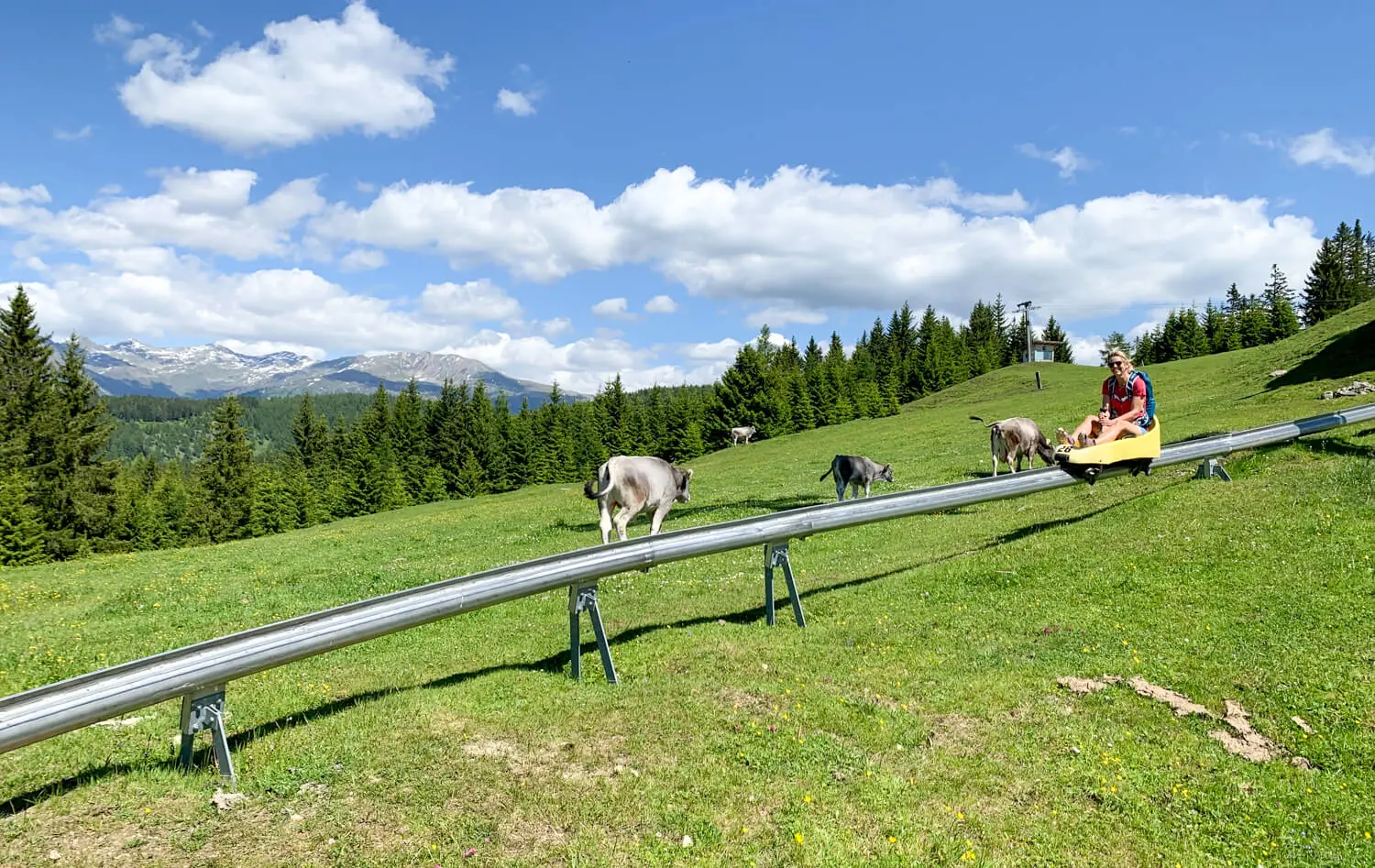 Leuke zomerrodelbanen in Oostenrijk