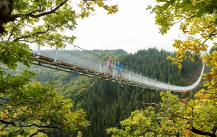 Geierlay im Hunsrück: Deutschlands schönste Hängeseilbrücke