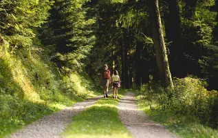 Die 5 schönsten Wanderwege im Schwarzwald