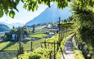 Die 5 schönsten Waalwege in Südtirol
