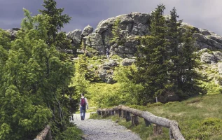 Die 5 schönsten Wanderwege im Bayerischen Wald
