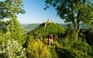 Wandern im Pfälzerwald: 3 Fernwanderwege im größten Waldgebiet Deutschlands