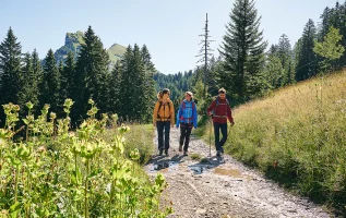 Culinaire wandeling in Mellau: langs bloeiende Alpenweides en de Kanisfluh (2044 m)