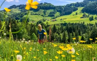 Die 5 schönsten Blumen der Alpen