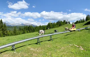De 10 leukste zomerrodelbanen in Oostenrijk