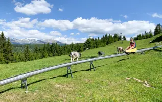 Overzicht van zomerrodelbanen in Oostenrijk