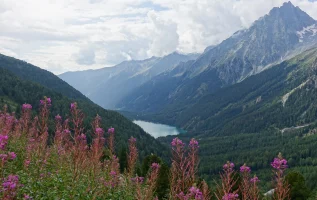 De mooiste wandelroutes in Tirol