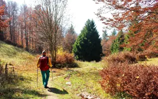 10 Gründe, warum sich Wanderer auf den Herbst freuen