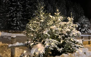Kerstsfeer in de Dolomieten: fotoverslag