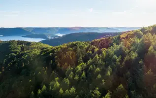 Nationaal Park Eifel: uitgestrekte natuur vlak bij Nederland