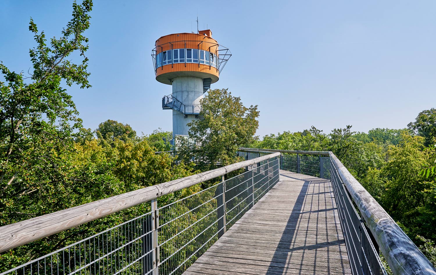 Toren van boomkroonpark nationalpark Hainich