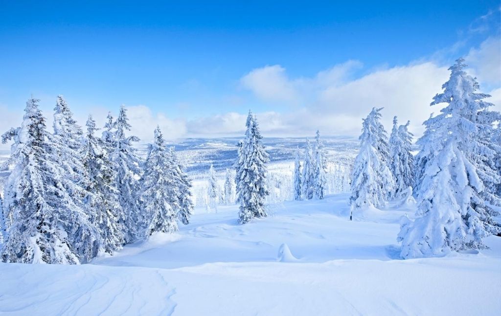 Schneeschuhwandern Bayerischer Wald
