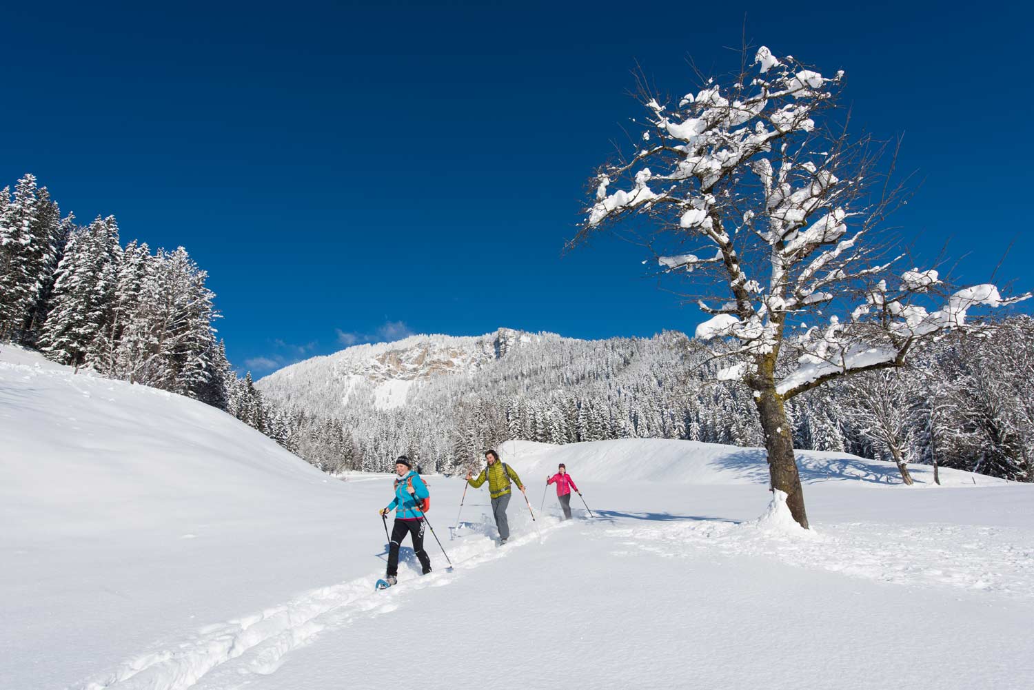 Sneeuwschoenwandelen in St. Johann in Tirol
