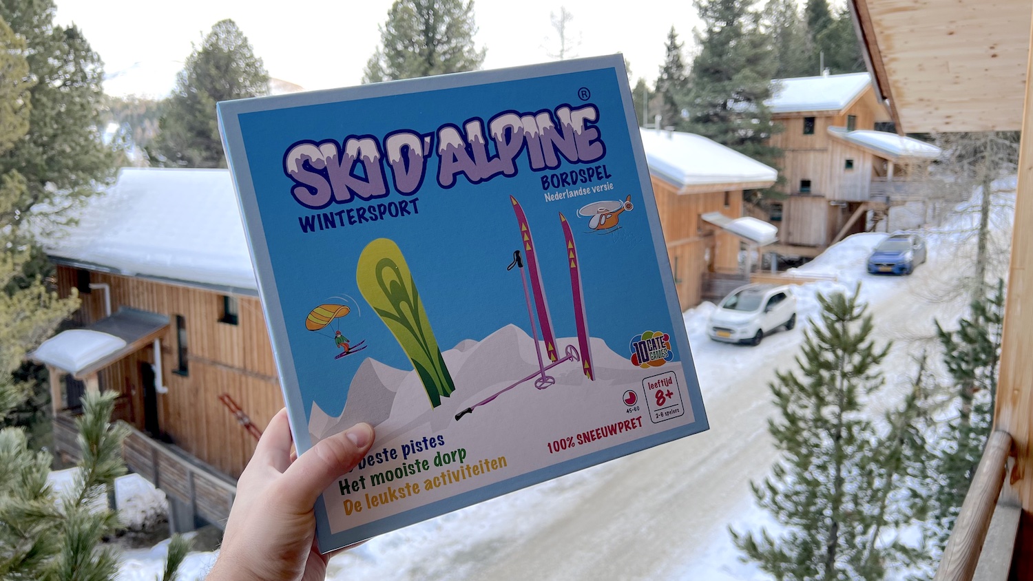 Ski d'Alpine bordspel